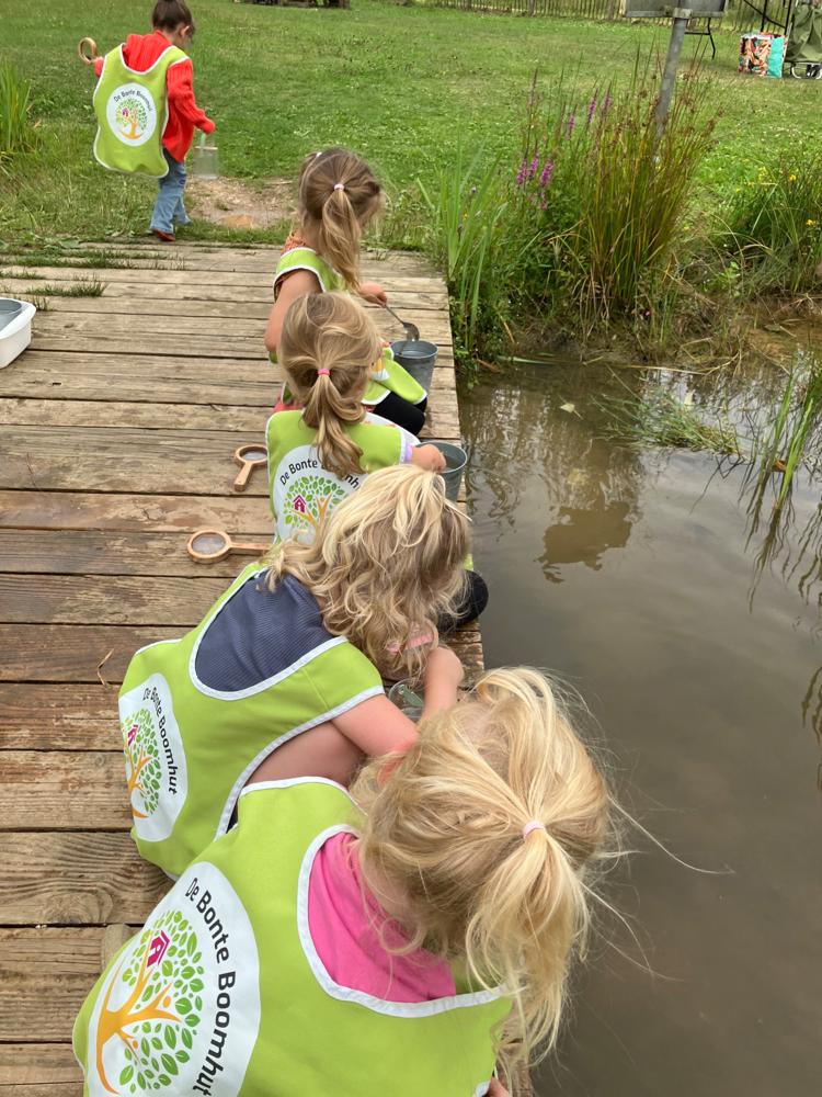 De Bonte Boomhut - IMG_0368-medium